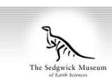 The Sedgwick Museum of Earth Sciences - Cambridge