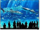 Weymouth Sea Life Park