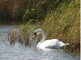 Shinewater Park - Eastbourne