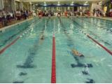 Shipley Pool