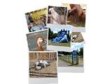 Shires Farm