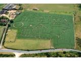 Southwold Maize Maze