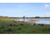 Windrush Path Mosaic Trail - Standlake