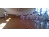 Harpenden JKA Karate Club