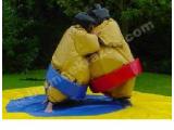 Bounce Krazee, Bouncy Castle Hire