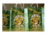 The Jungle, Warrington