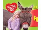 The Tamar Valley Donkey Park, Gunnislake