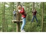 Go Ape Tree Top Adventure Crawley