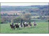 White Horse Trekking Centre