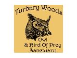 Turbary Woods