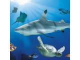 Sea Life Aquarium - Chessington