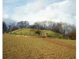 Uley Long Barrow (Hetty Pegler's Tump)