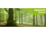Wendover Woods