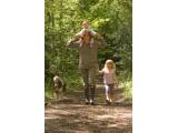 Wendover Woods