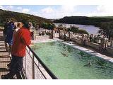 National Seal Sanctuary Helston