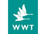 Wildfowl & Wetlands Trust - Slimbridge