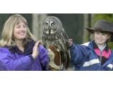 Falconry UK Ltd