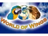 World of Wings