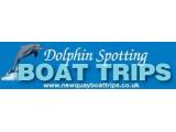 New Quay Boat Trips